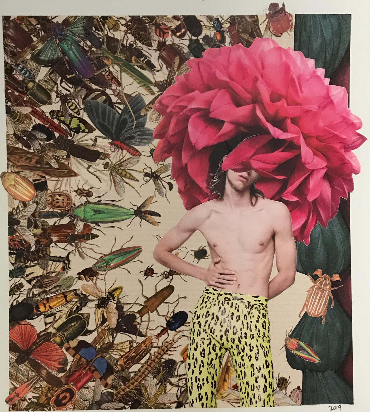 Buggy by Donna Durbin